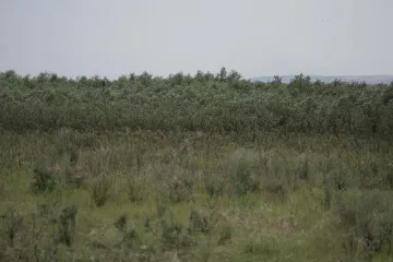 Каховське водосховище хочуть відновити: що буде з Великим Лугом