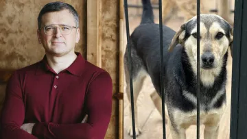 «Був собакою-привидом притулку»: Дмитро Кулеба з дружиною зворушили вчинком, всиновивши хворого пса з Лиману