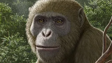 Вчені помилялась щодо колиски зародження людства: в Африці знайшли рештки людини, що змінюють попередні теорії