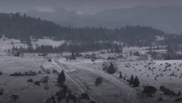 Зима вже на кордоні: прикордонники похвалились кадрами засніженої Львівщини