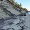 Перекрили кілометри пляжів: у Польщі берег Балтійського моря вкрило таємниче чорне каміння