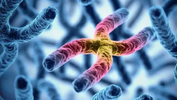 Вченим вдалось вимкнути зайву хромосому при синдромі Дауна: прорив допоможе з лікуванням генетичних порушень