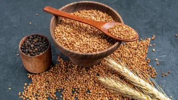 Вперше з 2022 року: Росія стала головним постачальником важливого продукту до США