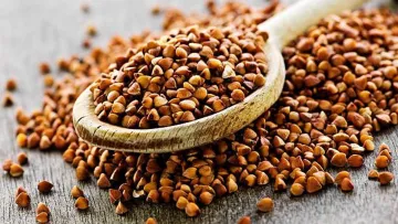 Скільки найближчим часом коштуватиме гречка: українцям повідомили не найкращі новини