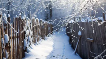 Стрибки температури, морози та відлиги: які погодні сюрпризи готує лютий