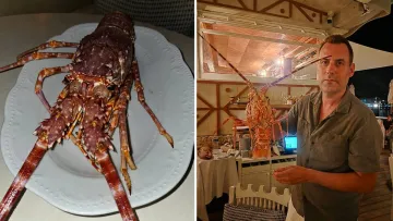 Заплатив €300 і випустив у море: француз здивував вчинком у ресторані на Лазурному узбережжі