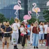Проєкт курорту зятя Трампа за $1,6 млрд викликав масові протести в Албанії: народ вимагає відставки уряду