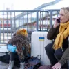 Де кількість українських біженців зросла найбільше у травні: куди українці тікають від війни