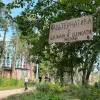 У Теремківському парку знову помітили роботу з вирубки дерев: що відповіли у КМДА