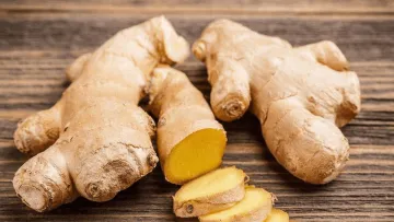 Таємна сила імбиру: як звичайна спеція бореться з холестерином і тромбами