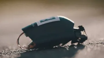 У Німеччині розробили комах-розвідників для використання у військових цілях: як вони виглядають 