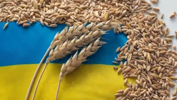 Війна на Близькому Сході може негативно повпливати на українську агропродукцію: експерт зробив прогноз