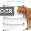 Кіт проти прокрастинації: у Google Chrome з’явилося розширення, яке змушує користувачів робити перерви