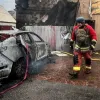 «Пройшов через три села»: під Києвом зниклий після вибуху рудий кіт сам повернувся додому через три місяці