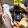 Від чіхуахуа Ольги Сумської до вівчарки Павла Зіброва: які собаки живуть вдома в українських зірок