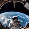 3301 бджола у космосі: у NASA розповіли, що сталося з комахами за сім днів у невагомості 