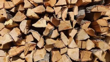 Дешевше, але небезпечніше: чому і які дрова не варто купувати для каміна