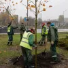 Комунальники влаштували танці у парку після нічної атаки на Київ: відео підкорило мережу