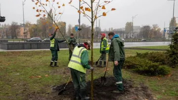 Комунальники влаштували танці у парку після нічної атаки на Київ: відео підкорило мережу