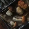 Можна брати безкоштовно: що дозволено збирати українцям у лісі