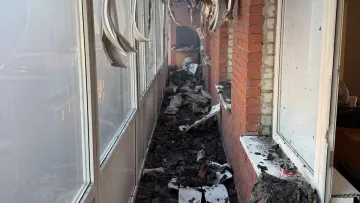 «Відновлюємося після удару»: бренд одягу Jul повідомив про знищення виробництва під час атаки РФ