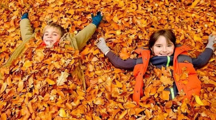 Коли осінні канікули? У Києві, Львові, Одесі, Дніпрі та Харкові дали відповідь – дати не співпадають