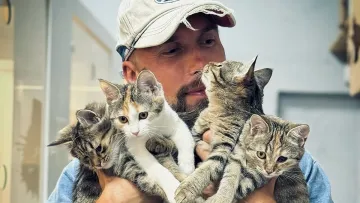 Як зігріти кота: Олексій Суровцев розповів, як допомогти хвостатим пережити низьку температуру 