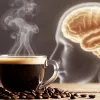 Нейрони відновлюються, а пам’ять покращується: кава є ліками для мозку – дослідження вчених