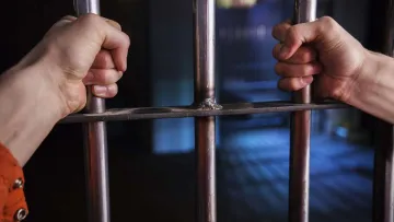 Пообіцяв 100 тисяч доларів і навчив, як вбивати: чоловік «замовив» дружину школяру-кілеру