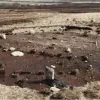 Археологічне диво в Шотландії: під землею знайшли невідоме доісторичне коло віком у тисячі років