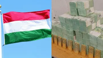 «Допитали лише як свідків»: адвокат Ощадбанку пояснив, на якому етапі справа затриманих інкасаторів в Угорщині