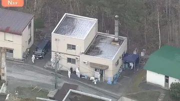 Шокуюче вбивство в Японії: працівник зоопарку спалив тіло дружини в інсинераторі