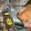 «Мене забрали до ТЦК»: у Кременчуці знайшли собаку Леона прив’язаного до лавки із запискою від господаря