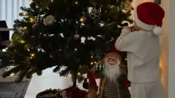 Вища за минулорчну: голкіпер збірної України Лунін не чекаючи зими вже встановив в будинку новорічну ялинку