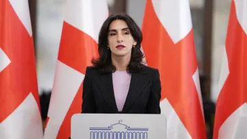 «Це не було приховано»: в Грузії звинуватили Україну в перешкодах вступу країни до Євросоюзу