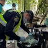 Знайшли у закинутій будівлі: поліція Дніпра затримала рецидивіста за жорстоке вбивство дитини