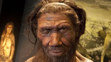 Жахливі знахідки в Бельгії: неандертальці систематично полювали на дітей та жінок заради їжі