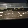 Нове відкриття про Homo naledi може кардинально змінити уявлення про предків людини: що вдалося виявити 