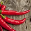 Вчені знайшли зв’язок між перцем чилі та раком: деякі види онкологій можуть розвинутись через пряність