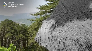 В окупованому росією Криму під виглядом «виноградників» вирубують ліс: що стало відомо