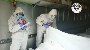 В Україну повернуто понад 1000 тіл військовослужбовців для ідентифікації: що відомо