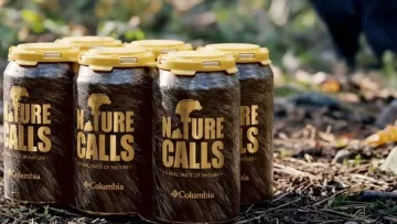 Ведмежі екскременти стали несподіваним інгредієнтом нового пива: чому їх вирішили додати в напій