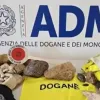 Туристка намагалася вивезти понад 40 кг піску та каміння з острову Сардинія: як покарають жінку