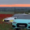 Знищений врожай заради красивих кадрів: : українці масово витоптують фермерські макові поля через фотосесії
