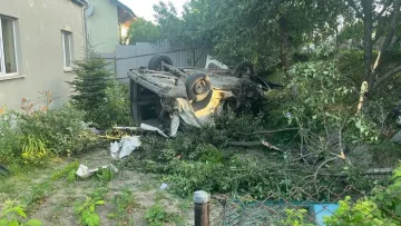 Зарізав власну матір, тікав від поліції та вбив людину в ДТП: моторошні подробиці злочину поблизу Львова