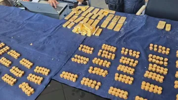 Золотий скарб на 9 мільйонів євро: студент випадково виявив злитки на будівництві в Бельгії