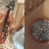 Стрілянина на Київщині: чоловік підстрелив 18-літнього юнака та переховувався від ТЦК