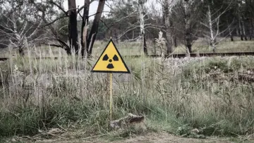 «‎Багато чого цікавого трапляється»: вчений розкрив, правду про гігантських сомів і мутантів з Прип'яті