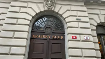 У Чехії школяр зґвалтував 45-річну українку: суд здивував покаранням підлітка