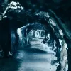Капсула часу в Норвегії: вчені відкрили занедбану печеру із залишками унікальної екосистеми Арктики